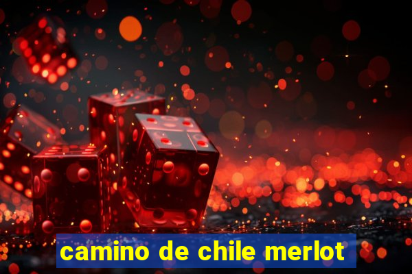 camino de chile merlot